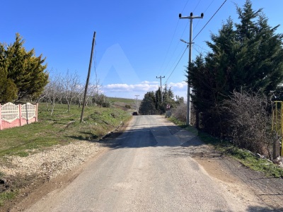 Kocaali Mh Şenköy Bitişiğinde Dan 340M2 Hissemiz Satılık Tarla Şarköy