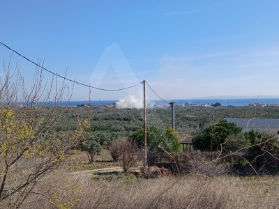 Eriklice Mh Deniz Manzaralı 308M2 Villa İmarlı Satılık Arsa Şarköy