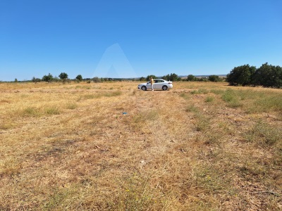 Kavacık Köyünde Yatırımlık 3200M2 Satılık Tarla Uzunköprü