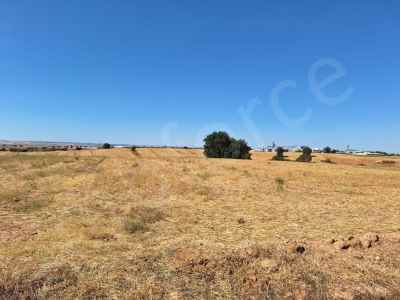 Field For Sale in  Turkey, Edirne, Uzunkopru, Downtown , 3200 m2