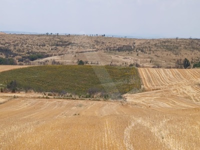 Orhaniye Köyünde 8500Yolu Olan Satılık Tarla Merkez