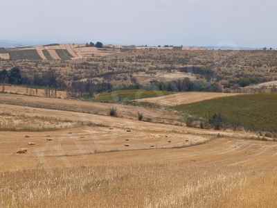 Field For Sale in  Turkey, Edirne, Downtown, Downtown , 8500 m2