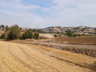Edirne Uzun Köprü Karapınar Köyünde Yatırımlık Satılık Tarla Uzunköprü