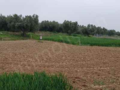 Grundstück Kaufen In  Türkei, Tekirdag, Sarkoy, Murefte Str. , 335 m2