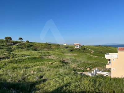 Kocaali Mh Cukurtarla Mevkiinde 248M2 Fiyatı Uygun Satılık Arsa Şarköy