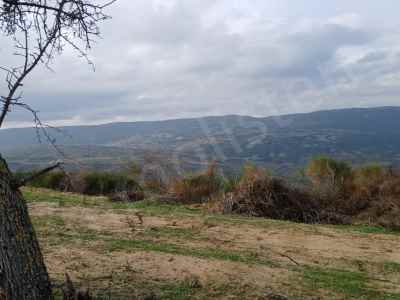 Ackerland Kaufen In  Türkei, Tekirdag, Sarkoy, Kirazli , 3150 m2