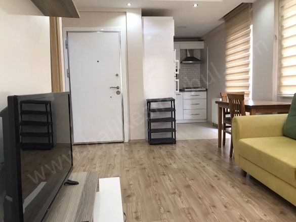 Hasanbasri Çantay Altıeylül Kiralık Daire |  1+1 Oda | 58M2 Aylık 17.500Tl Eşyalı  | 2. Kat | Kombi | 1 Banyo | 1 Yatak Odası Resim-4