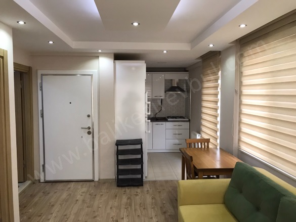 Hasanbasri Çantay Altıeylül Kiralık Daire |  1+1 Oda | 58M2 Aylık 17.500Tl Eşyalı  | 2. Kat | Kombi | 1 Banyo | 1 Yatak Odası Resim-5