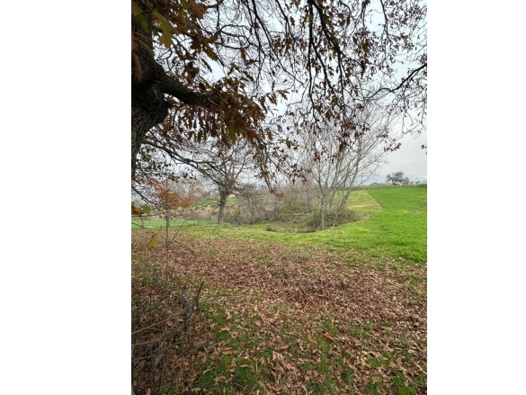 Peynirkuyu Manyas Satılık Arsa |  1590M2 3.190.000Tl Resim-5