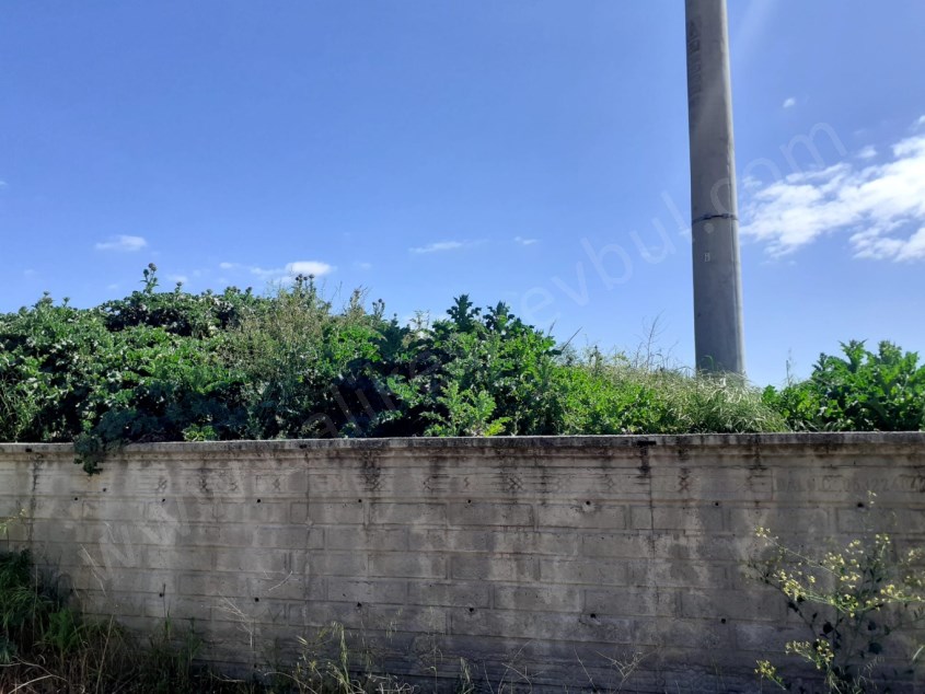 BALIKESİR SATILIK TARLA SAFİR DEN BURSA İZMİR KARAYOLU ÜZERİ YOLA CEPHELİ 2.180 M2 TİCARİ AMAÇLI