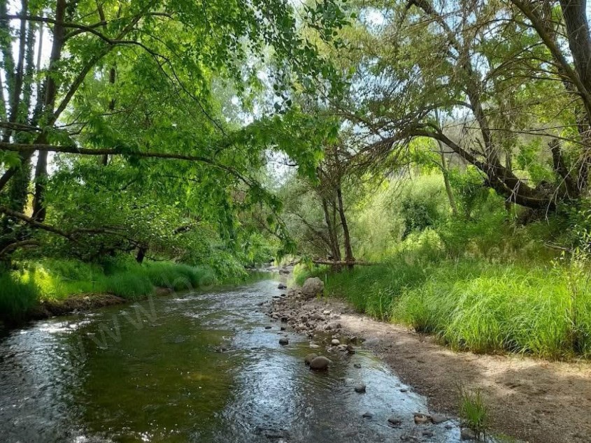 BALIKESİR SATILIK ARSA SAFİR DEN DURSUNBEY KÜÇÜKLERDE DOĞA İÇİNDE TREN İSTASYONLU 3.495 M2 ARSA