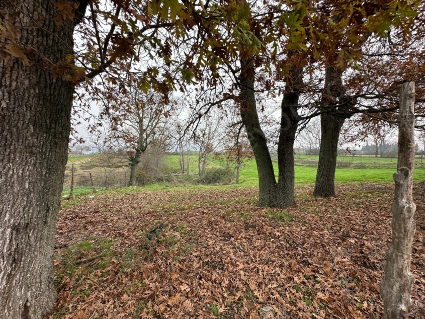 MANYAS SATILIK ARSA SAFİR DEN MANYAS PEYNİRKUYU KÖY İÇİNDE 1.590 M2 İMARLI ASFALT YOLA CEPHELİ ARSA