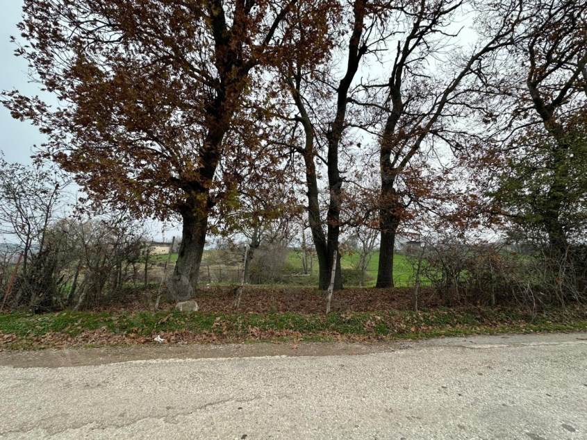 MANYAS SATILIK ARSA SAFİR DEN MANYAS PEYNİRKUYU KÖY İÇİNDE 1.590 M2 İMARLI ASFALT YOLA CEPHELİ ARSA