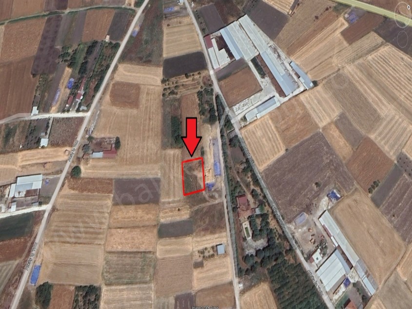 BALIKESİR SATILIK TARLA SAFİR DEN ATKÖYDE YOLA YAKIN 1000 M2 MÜSTAKİL TAPULU YATIRIMLIK TARLA