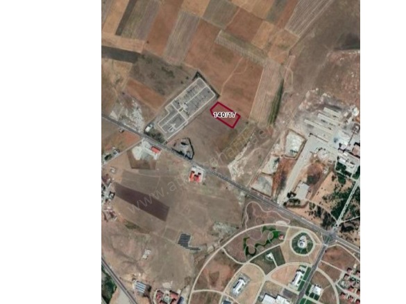 Yolugüzel Köyü Ağrı Satılık Tarla |  14558M2 25.000.000Tl Resim-3