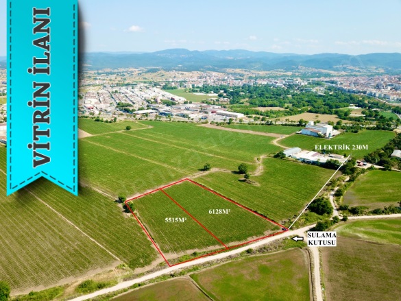 Merkez Biga Satılık Tarla |  11678M2 10.500.000Tl Resim-3