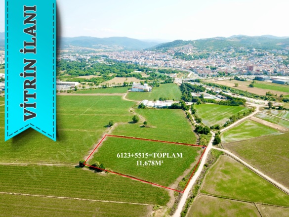 Merkez Biga Satılık Tarla |  11678M2 10.500.000Tl Resim-5