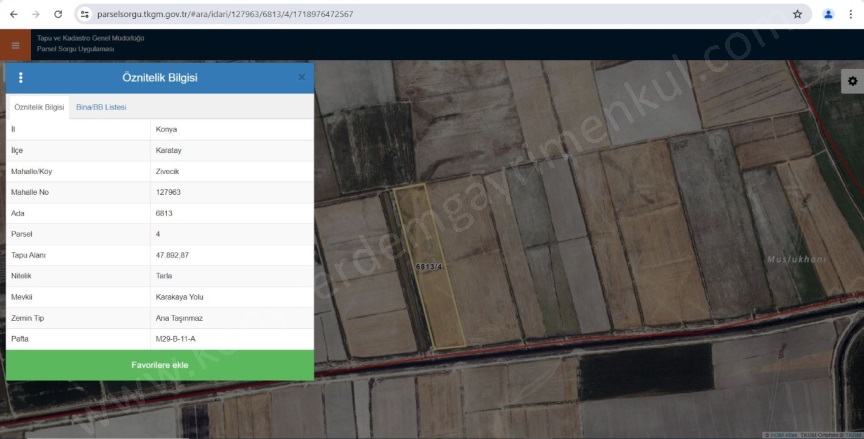 Zivecik Karatay Satılık Tarla |  47893M2 7.180.000Tl Resim-3