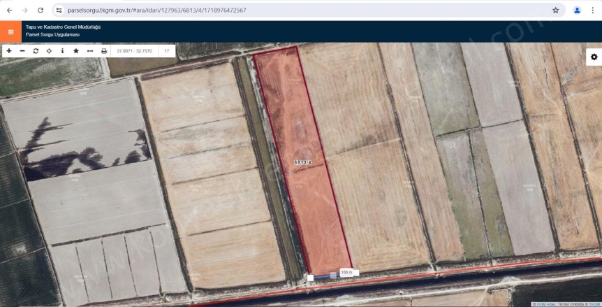 Zivecik Karatay Satılık Tarla |  47893M2 7.180.000Tl Resim-4