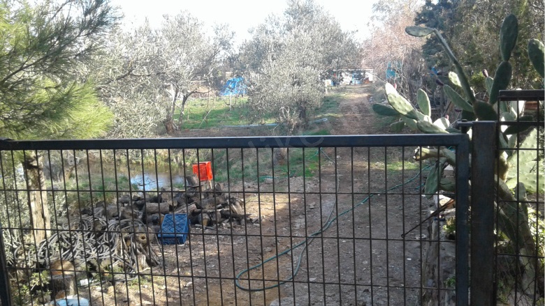 Cunda Adası Ayvalık Satılık Çiftlik |  6210M2 18.000.000Tl Resim-2