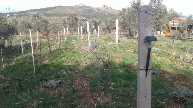 Cunda Adası Ayvalık Satılık Çiftlik |  6210M2 18.000.000Tl Resim-3