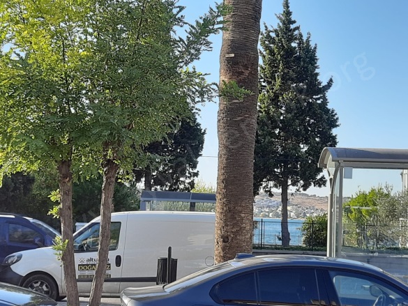 Sakarya Ayvalık Satılık Müstakil Ev |  4+1 Oda | 58M2 15.000.000Tl | Komple Bina | 1 Banyo | 2 Yatak Odası Resim-2