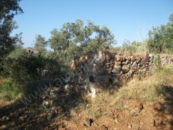 Ayvalık Cunda Adası Satılık Arsa 12026 M2