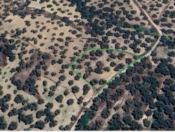 Gömeç Merkez Satılık Zeytinlik 2005 M2