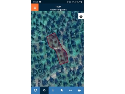 Cunda Pateriça 2 Köyde Satılık Zeytinlik Ayvalık Adası