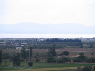 Altınova Deniz Manzaralı Satılık Zeytinlik Ayvalık