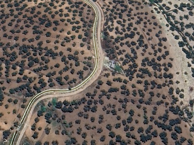 Kadastral Yola Cepheli Satılık Zeytinlik Merkez