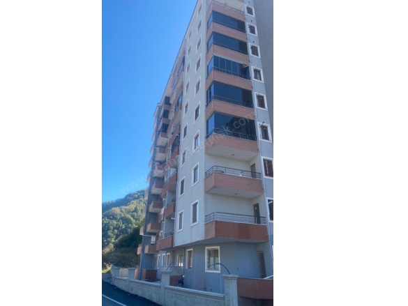 Merkez Bozkurt Kiralık Daire |  1+1 Oda | 55M2 Aylık 5.000Tl Eşyalı  | 8. Kat | Doğalgaz | 1 Banyo | 1 Yatak Odası Resim-1