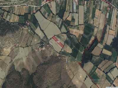 Field For Sale in  Turkey, Tokat, Turhal, Downtown , 2980 m2