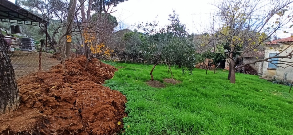 Yeşilköy Söke Satılık Müstakil Ev |  2+1 Oda | 680M2 2.500.000Tl  Krediye Uygun  Resim-1