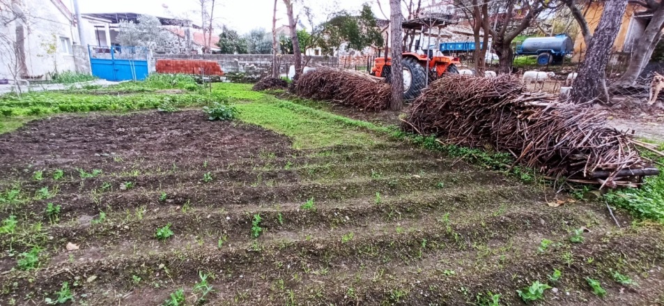 Yeşilköy Söke Satılık Müstakil Ev |  2+1 Oda | 680M2 2.500.000Tl  Krediye Uygun  Resim-2