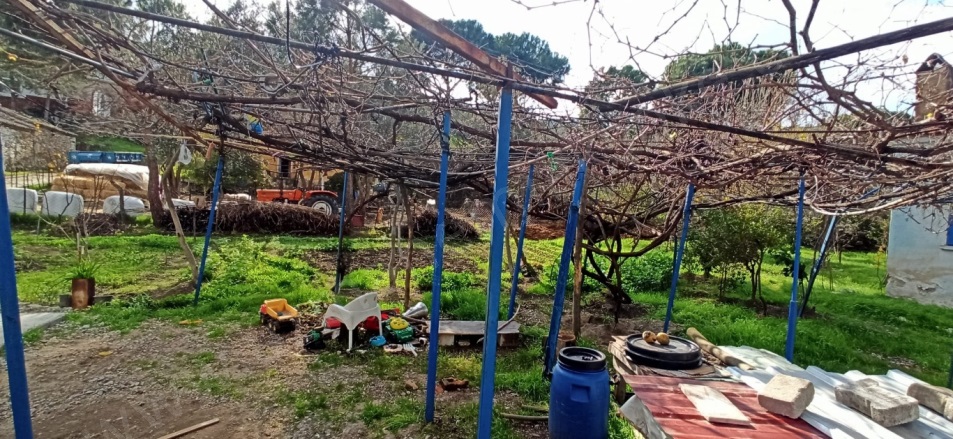 Yeşilköy Söke Satılık Müstakil Ev |  2+1 Oda | 680M2 2.500.000Tl  Krediye Uygun  Resim-3