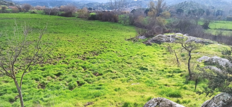 Yeşilköy Söke Satılık Müstakil Ev |  2+1 Oda | 680M2 2.500.000Tl  Krediye Uygun  Resim-5