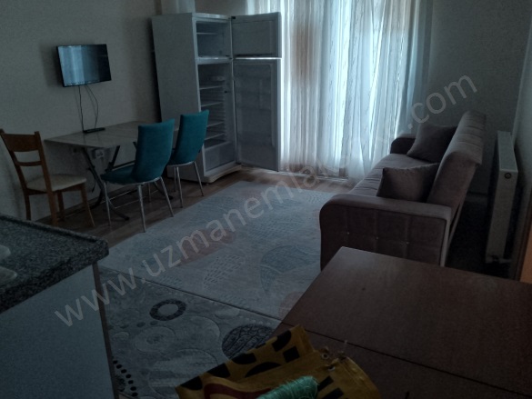 Yenikent Söke Kiralık Eşyalı Kiralık Daire |  1+1 Oda |Aylık 18.000Tl | 4. Kat | Doğalgaz | 1 Banyo | 1 Yatak Odası Resim-3