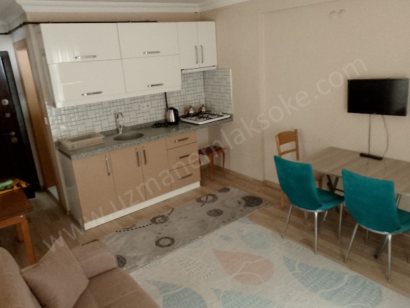 Yenikent Söke Kiralık Eşyalı Kiralık Daire |  1+1 Oda |Aylık 18.000Tl | 4. Kat | Doğalgaz | 1 Banyo | 1 Yatak Odası Resim-4