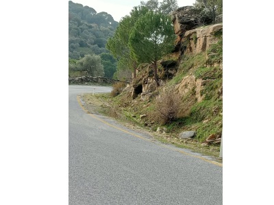 Söke Uzman Emlaktan Bağarası Aslanyaylası Mah Satılık Bahçe 3 076 M2 Zeytinlik