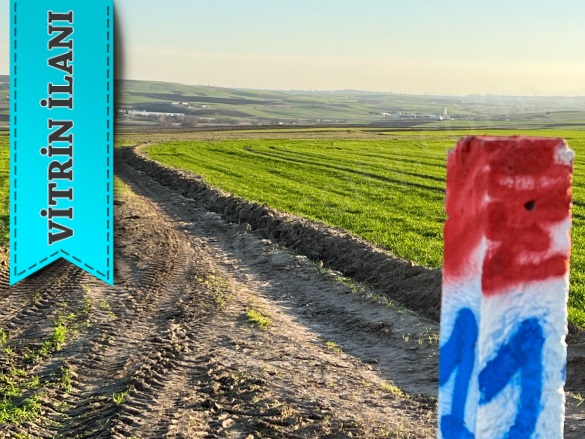 Değirmenköy Silivri Satılık Arsa |  365M2 500.000Tl Resim-5