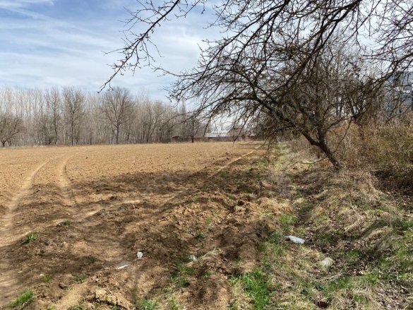 Merkez Kastamonu Satılık Tarla |  1592M2 4.000.000Tl İmarlı  Resim-3