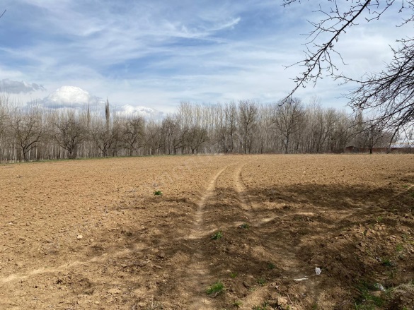 Merkez Kastamonu Satılık Tarla |  1592M2 4.000.000Tl İmarlı  Resim-4