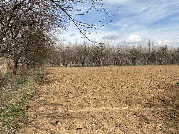 Merkez Kastamonu Satılık Tarla |  1592M2 4.000.000Tl İmarlı  Resim-5