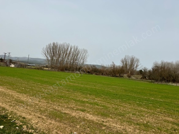 Merkez Kastamonu Satılık Arsa |  10050M2 5.500.000Tl İmarlı  Resim-5