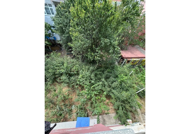 Merkez Kastamonu Satılık Müstakil Ev |  4+2 Oda | 460M2 6.850.000Tl | Müstakil | Soba | 2 Banyo | 1 Yatak Odası Resim-5