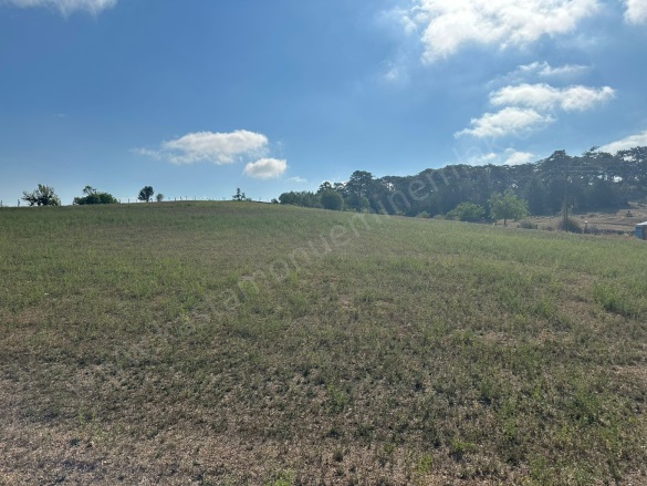 Merkez Kastamonu Satılık Tarla |  7224M2 7.000.000Tl İmarlı  Resim-2