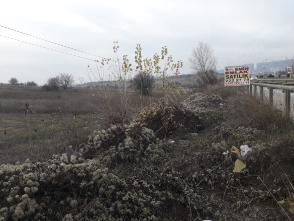 Merkez Kastamonu Satılık Tarla |  2452M2 5.275.000Tl Resim-1