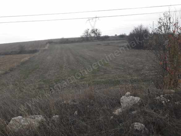 inebolu Yoluna Cepheli Satılık Tarla Fırsatlı Merkez