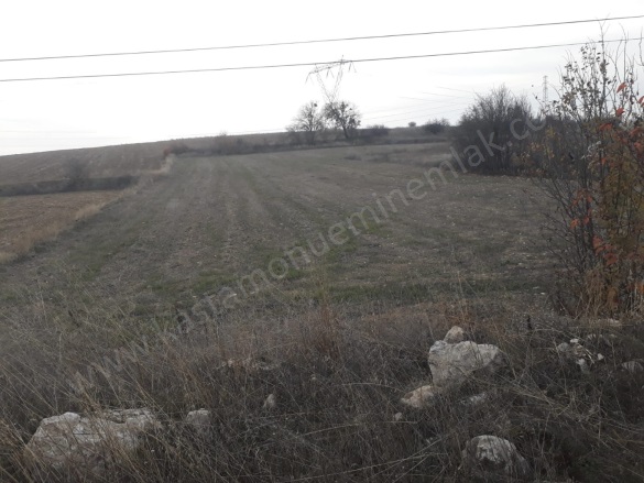 Merkez Kastamonu Satılık Tarla |  2452M2 5.275.000Tl Resim-2